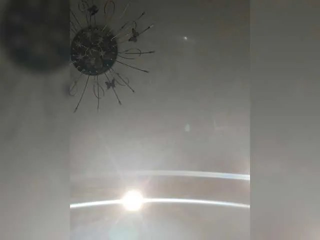 Offline Adiline on BongaCams