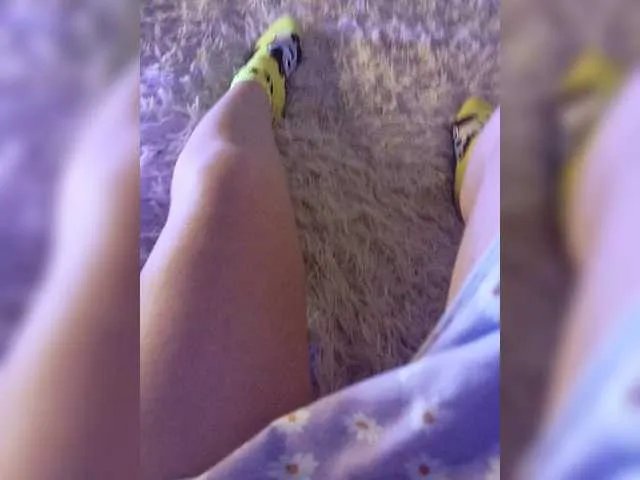 Offline amazingtits-5D on BongaCams