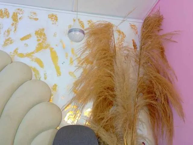 Offline blaisysmith on BongaCams