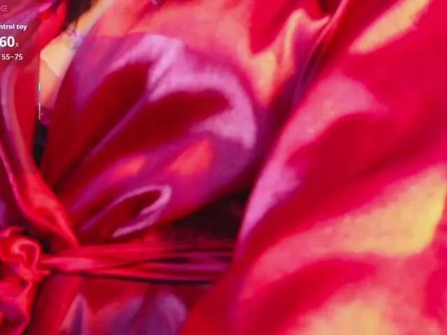 Offline DirtyLittleSlut on BongaCams