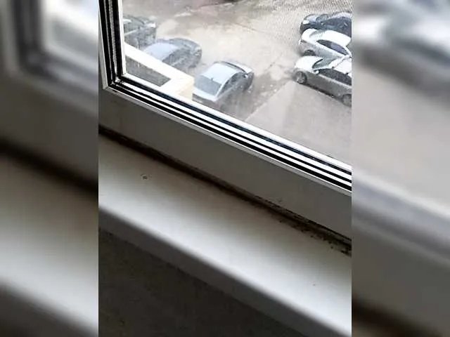 Offline doktorgirl on BongaCams