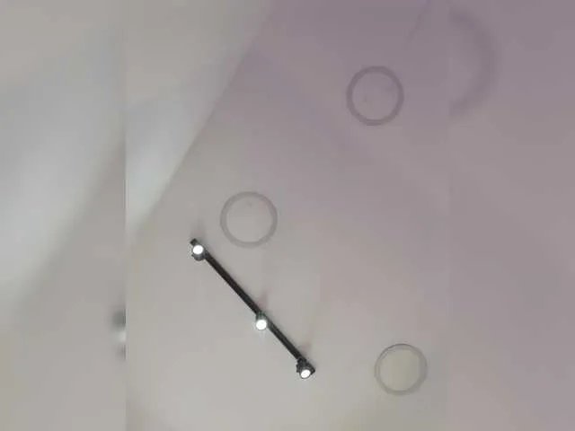 Freechat ElizHarper on BongaCams