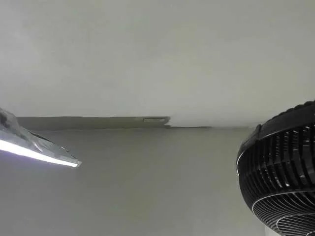 Offline emperatris-23 on BongaCams