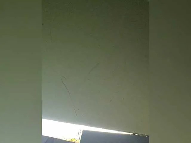 Freechat Geritsme on BongaCams