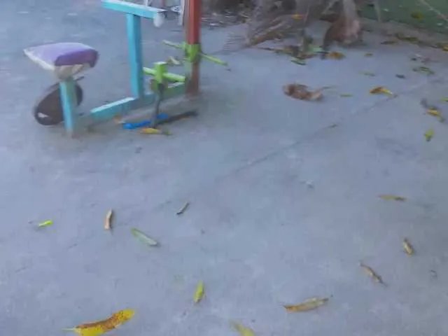 Offline GGIsland on BongaCams