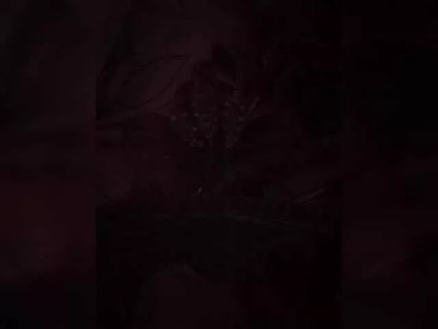 Offline MsLukeme on BongaCams