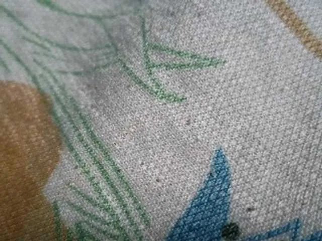 Offline NaughtyWetPieXx on BongaCams