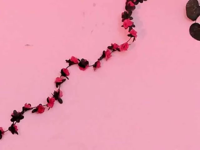 Offline Pamela-Velvet on BongaCams