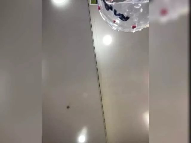 Offline PrettyKatea on BongaCams