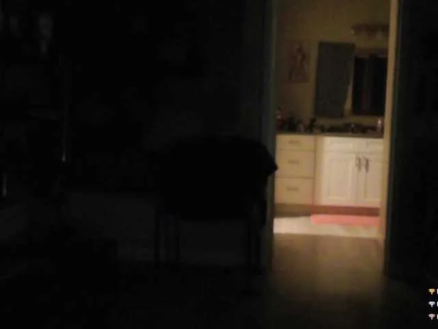 Offline QueenAnitaDix on BongaCams