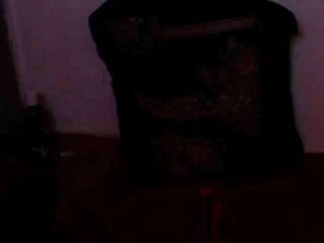 Offline salmalopez on BongaCams