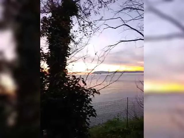 Freechat TerriRose on BongaCams