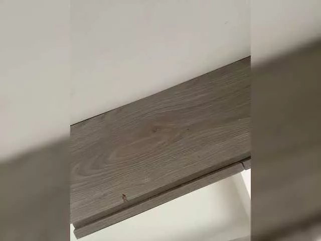 Freechat TinyRouse on BongaCams