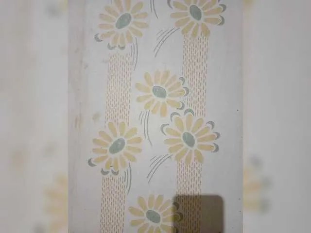 Offline VselenaSun402 on BongaCams