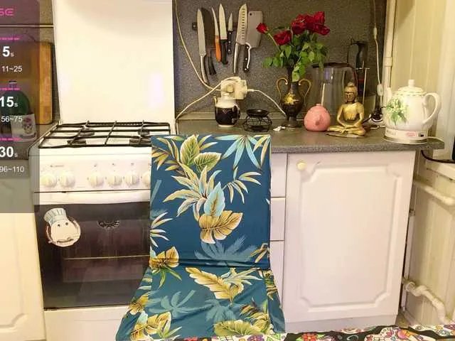 Offline Walkris on BongaCams