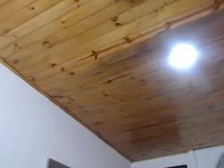 Offline antonellasweetlittle on CamSoda