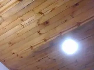 Offline antonellasweetlittle on CamSoda