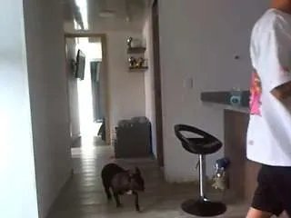 Offline fantasy-sex2026 on CamSoda