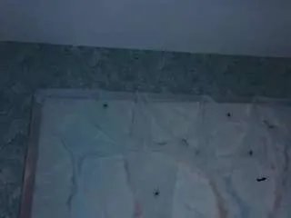 Offline jodygoulder on CamSoda