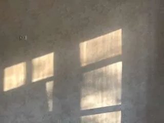 Offline latoyamuncil on CamSoda