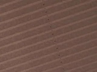 Offline normahargers on CamSoda