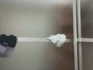 Offline themilkywayxo on CamSoda