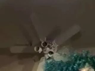 Freechat universethadon on CamSoda