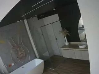 Offline voyeurcam-casa-salsa-bathroom-4 on CamSoda