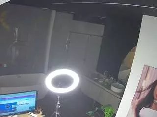 Offline voyeurcam-casa-salsa-bathroom-4 on CamSoda