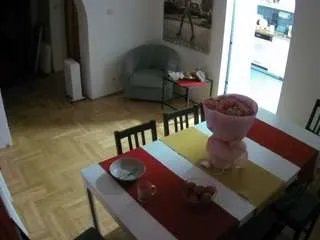 Offline voyeurcam-julmodels-dining on CamSoda
