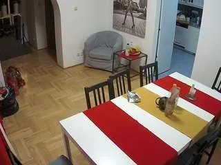 Offline voyeurcam-julmodels-dining on CamSoda