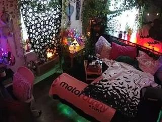 Offline voyeurcam-veccasalt-01 on CamSoda