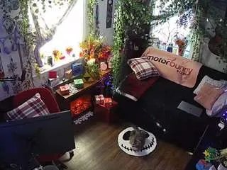 Offline voyeurcam-veccasalt-01 on CamSoda