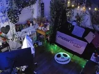 Offline voyeurcam-veccasalt-01 on CamSoda