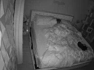 Offline voyeurcam-whitneyoc-01 on CamSoda