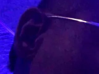 Freechat allan_barreto on Flirt4Free