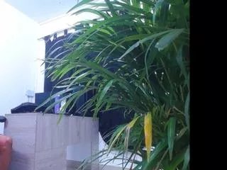 Offline diego_gil on Flirt4Free