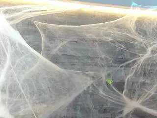 Freechat jennifer_dumont on Flirt4Free