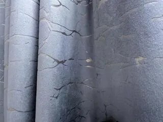 Offline shaya_asian on Flirt4Free