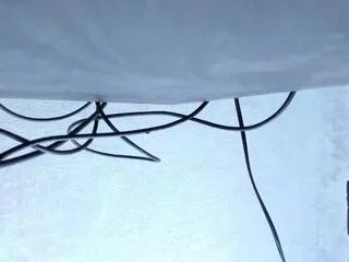 Offline shaya_asian on Flirt4Free