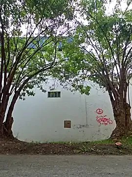 Freechat Alyshanon18 on StripChat