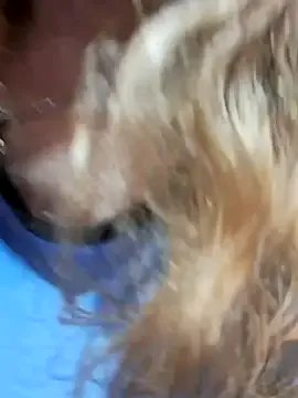 Freechat JennyInVegas on StripChat