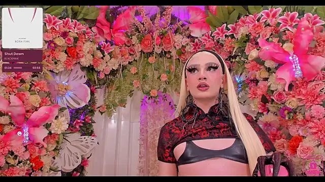 Freechat SpicySluts on StripChat